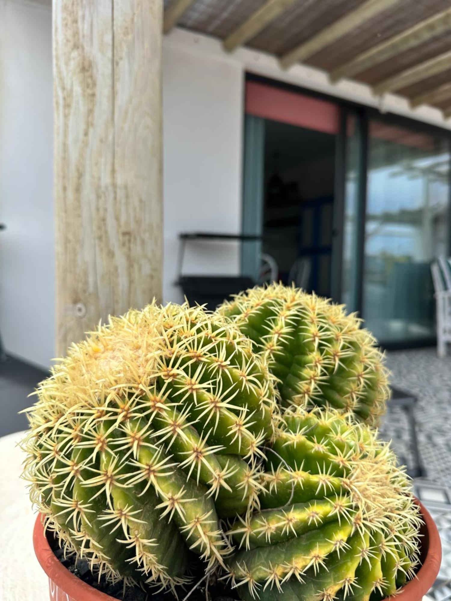 Casita Tiare Lajares Apartment Exterior photo